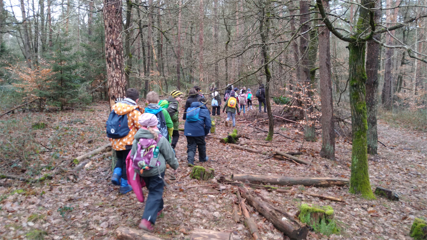 wald-19-20-1.jpg