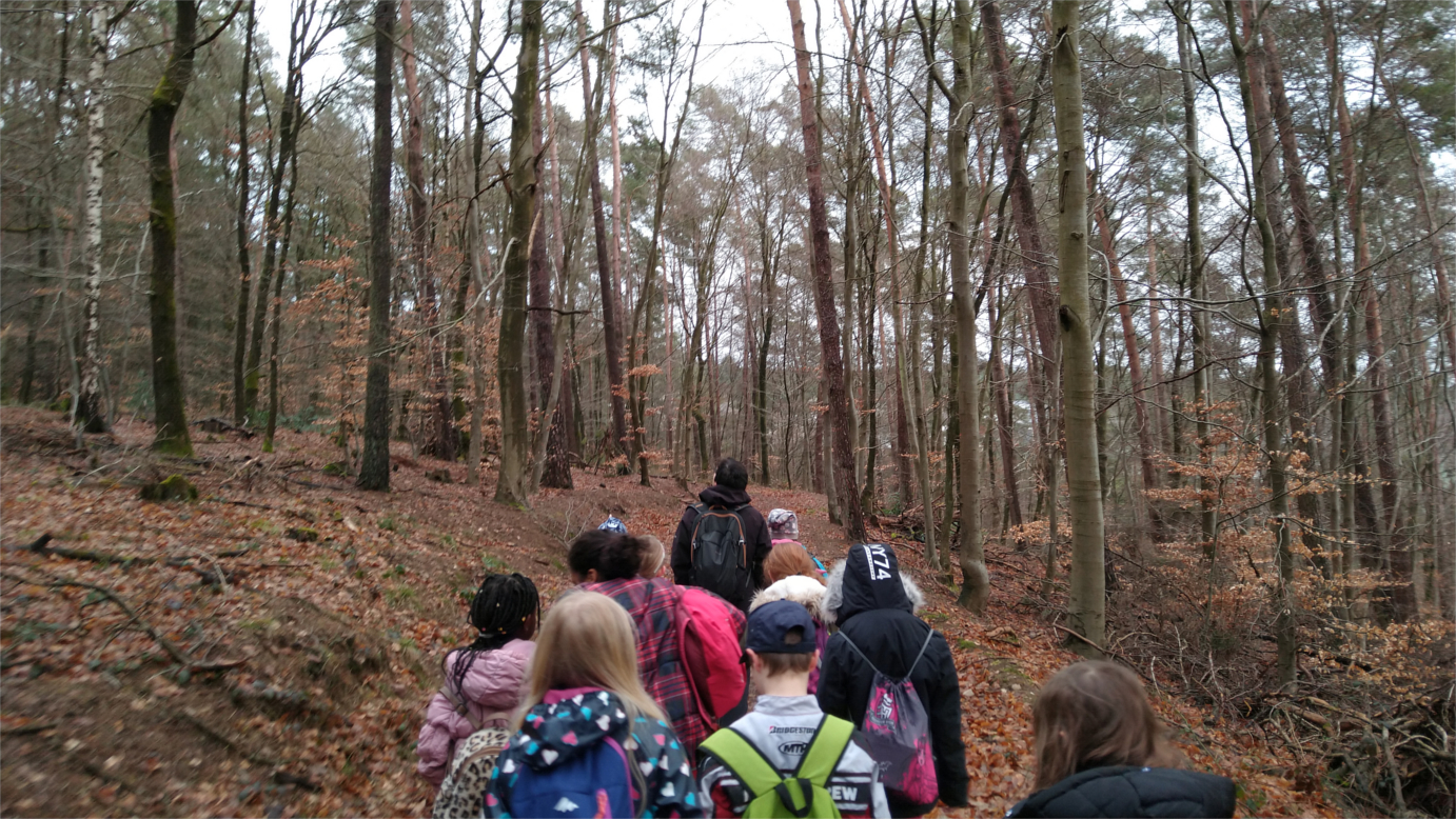 wald-19-20-2.jpg